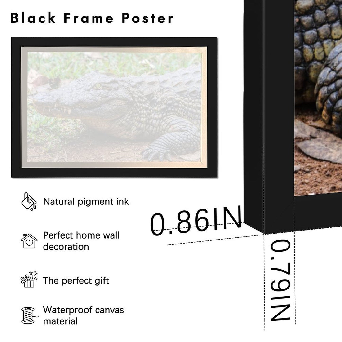 Wildlife Crocodile Wall Art Black Frame Home Decoration