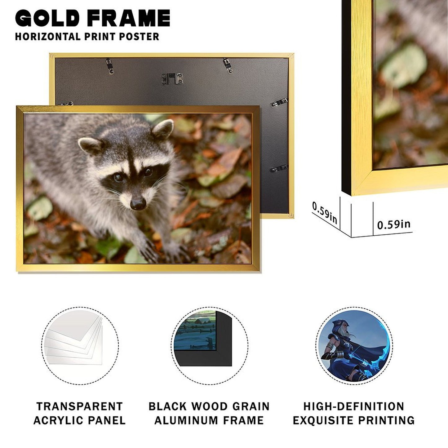 Woodland Raccoon Canvas Picture Gold Frame Home Decor-09