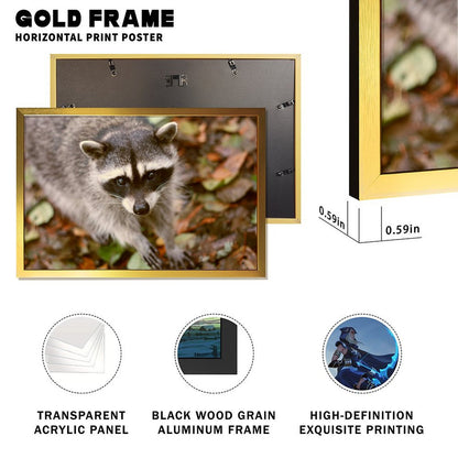 Woodland Raccoon Canvas Picture Gold Frame Home Decor-09