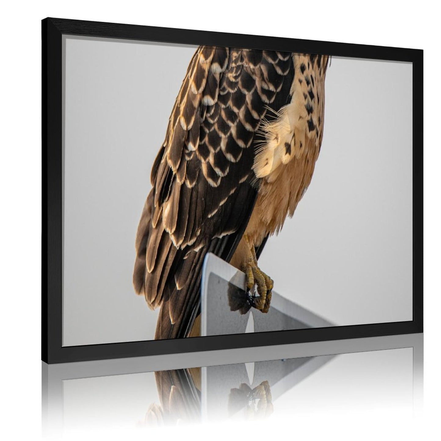 Tropical Toucan Duo Wall Art – Modern Nature Photography Print-13