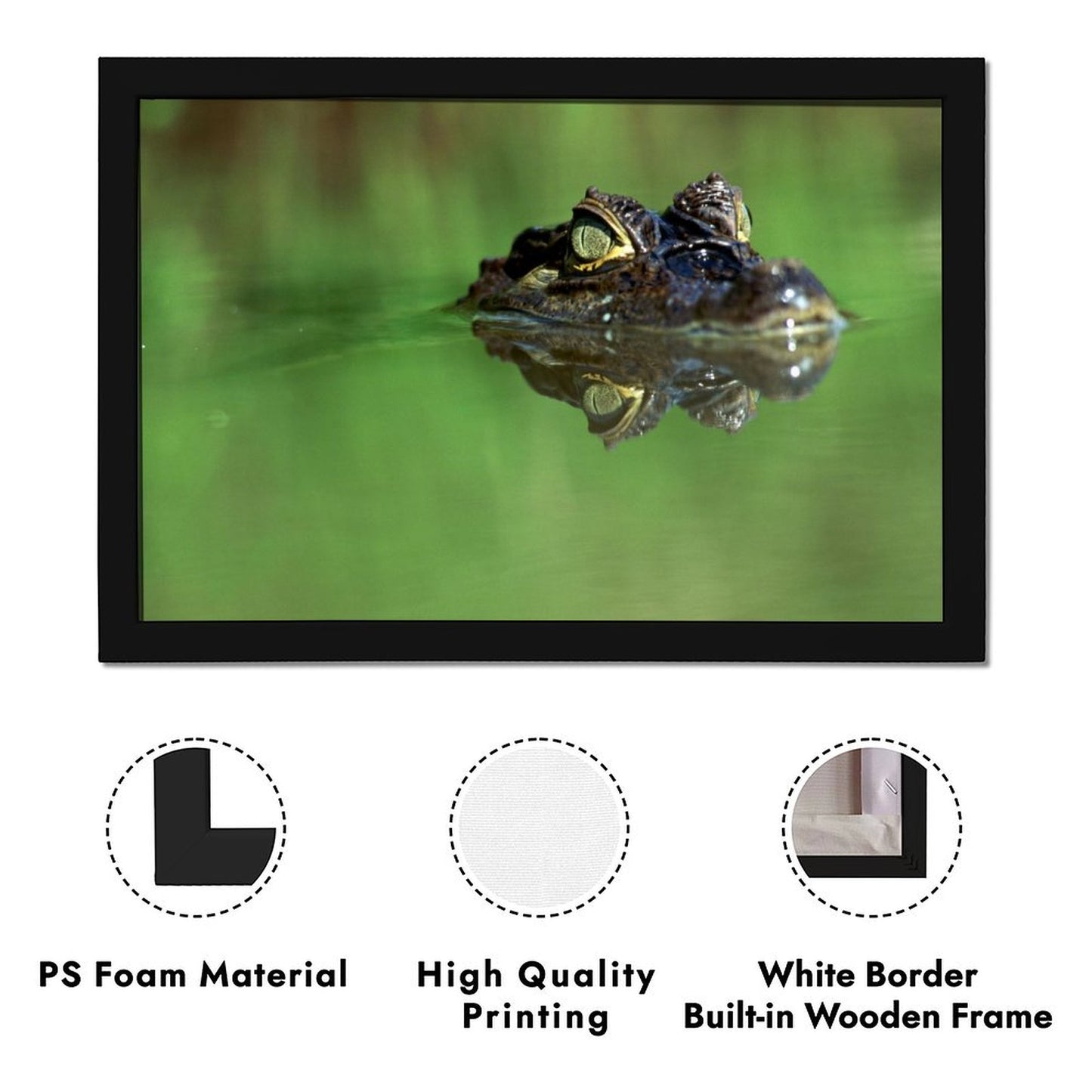 Crocodile in Water Wall Art Black Frame Wildlife Decor