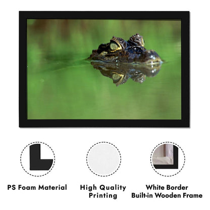 Crocodile in Water Wall Art Black Frame Wildlife Decor
