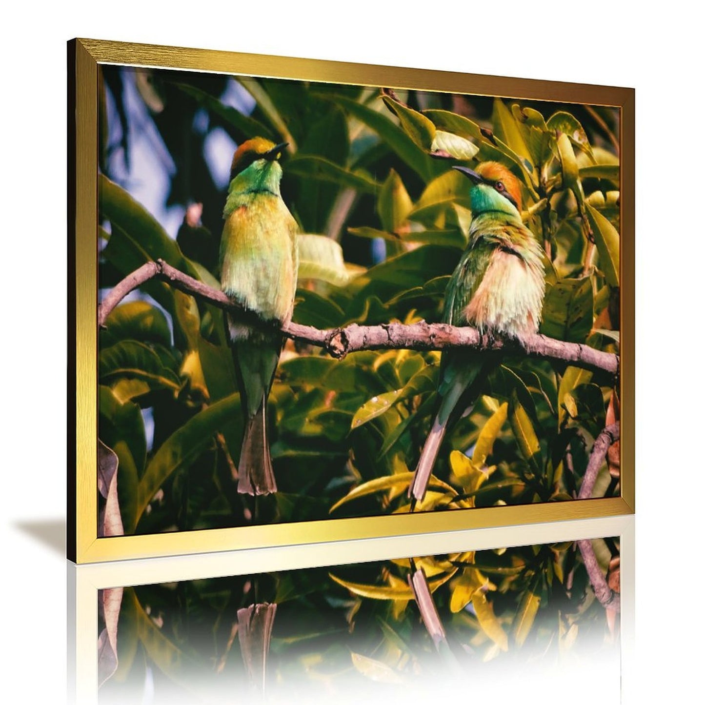 Tropical Toucan Duo Wall Art – Modern Nature Photography Print-13