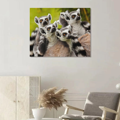 Wild Lemur Wall Picture Nature Animal Framed Decor-06