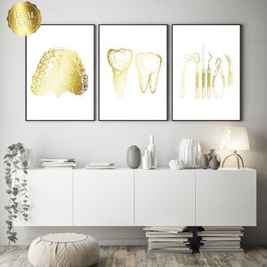 Dentist Gift - Orthodontist Gift - DDS, DMD gift - Dental Anatomy Art Print Set of 3 - Dental Art - Dental Office Decor