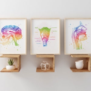 SLP Gift - Speech Therapist Gift - Speech Pathologist Gift - Speech Therapy Bundle Office Decor