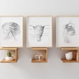 SLP Gift - Speech Language Pathologist Gift - Speech Therapist Gift - Speech Therapy Office Decor - Foil Print