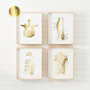 Chiropractor Gift - Chiropractic Art - Chiropractor Print - Gold Foil - Office Decor - Osteopathy