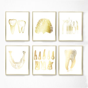 Dentist Gift - Dental Wall Art Set of 6 Prints - Orthodontist gift - Dental Office Decor - DDS, DMD gift - Gold Foil Print