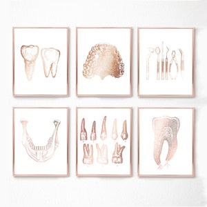 Dentist Gift - Dental Wall Art Set of 6 Prints - Orthodontist gift - Dental Office Decor - DDS, DMD gift - Gold Foil Print