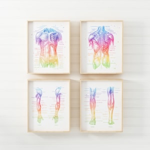 PT Gifts - Physical Therapist Gift - Massage Therapist Gift - Set of 4 - Office Decor - Physiotherapy Art