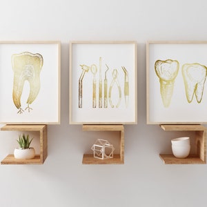 Dentist Gift - Orthodontist Gift - Dental Anatomy Art Print Set - Dental Art - Dental Office Decor