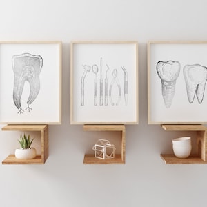 Dentist Gift - Orthodontist Gift - Dental Anatomy Art Print Set - Dental Art - Dental Office Decor