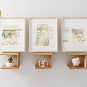 Dermatologist Gift - Dermatology Print - Epidermis Art - Esthetician Gift - Dermatology Office Decor