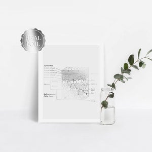 Esthetician Gift - Dermatologist Gift - Dermatology Print - Epidermis Art - Office Decor - Gold Print