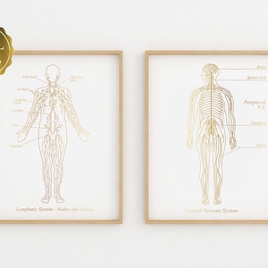 Nervous System Art - Lymphatic System Art - Neurologist Gift - Lymphologist Gift - Gold Foil Print