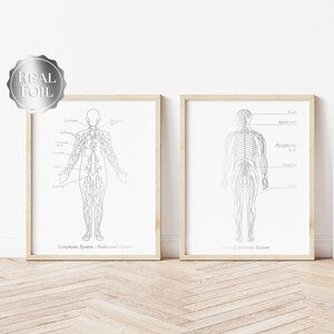 Nervous System Art - Lymphatic System Art - Neurologist Gift - Lymphologist Gift - Gold Foil Print