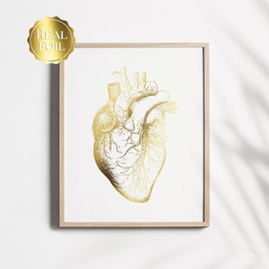 Cardiologist Gift - Anatomical Heart Print - Heart Surgeon Gift - Cardiology Art - Heart Gold Foil Print