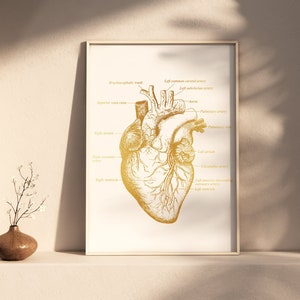 Cardiologist Gift - Anatomical Heart Print - Heart Surgeon Gift - Cardiology Art Decor - Heart Gold Foil Print