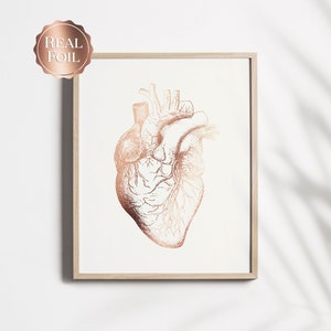 Cardiologist Gift - Anatomical Heart Print - Heart Surgeon Gift - Cardiology Art - Heart Gold Foil Print