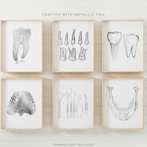 Dentist Gift - Dental Wall Art Set of 6 Prints - Orthodontist gift - Dental Office Decor - DDS, DMD gift - Gold Foil Print