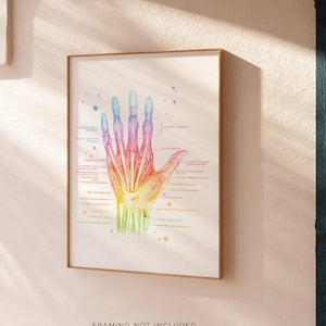 Hand Muscle Anatomy - Massage Therapist Gift - Physical Therapist Gifts - Med Student Gift - Medical Office Decor