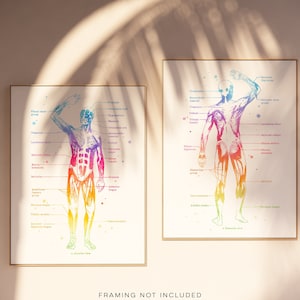 Physical Therapist Gift - Massage Therapist Gift - Masseuse - Occupational Therapy - Muscle Anatomy - Med Office Decor