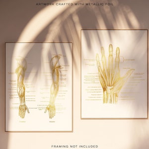 Physical Therapist Gifts - Hand Muscle Anatomy - Hand Massage Therapist Gift - Arm Muscle Anatomy - Massage Decor - Gold Foil Print