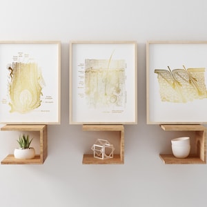 Foil Epidermis Art Print Set: Dermatology & Esthetician Office Decor