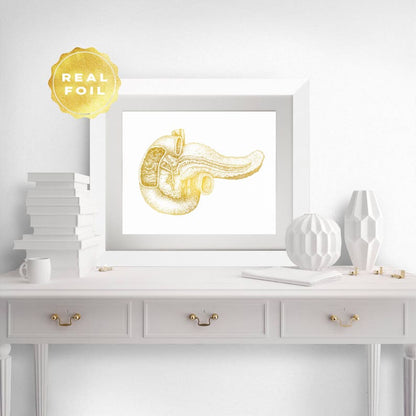 Pancreas Art - Pancreas Anatomy - Gold Anatomy Art - Anatomy Decor - Human Anatomy - Med Student Gift - Medical Office Decor - Hepatology