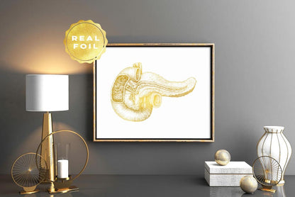 Pancreas Art - Pancreas Anatomy - Gold Anatomy Art - Anatomy Decor - Human Anatomy - Med Student Gift - Medical Office Decor - Hepatology
