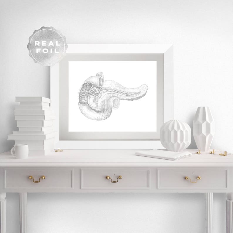 Pancreas Art - Pancreas Anatomy - Gold Anatomy Art - Anatomy Decor - Human Anatomy - Med Student Gift - Medical Office Decor - Hepatology