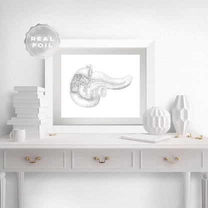 Pancreas Art - Pancreas Anatomy - Gold Anatomy Art - Anatomy Decor - Human Anatomy - Med Student Gift - Medical Office Decor - Hepatology