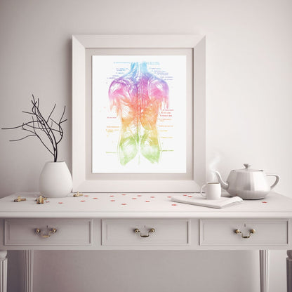 Physical Therapist Gift - Massage Therapist Gift - Muscle System - Human Anatomy - Muscle Anatomy
