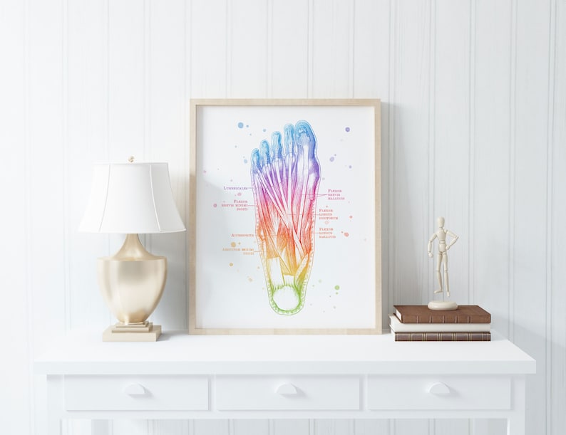 Physical Therapist Gift - Massage Therapist Gift - Hand Muscle Anatomy - Foot Muscle Anatomy - Set of 2 - Watercolor Wall Art