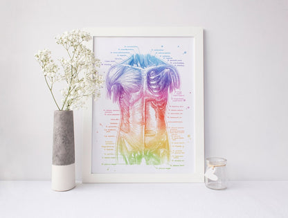 Physical Therapist Gift - Massage Therapist Gift - Muscle System - Human Anatomy - Muscle Anatomy