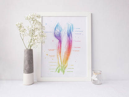 Massage Therapist Gift Set - Physical Therapist Gift Set - Massage Decor - Thigh Muscle Anatomy - Set of 3 Prints - Med Student Gift