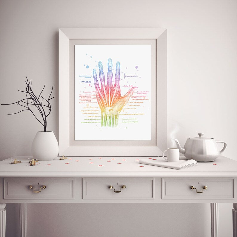 Hand Muscle Anatomy - Massage Therapist Gift - Physical Therapist Gifts - Med Student Gift - Medical Office Decor