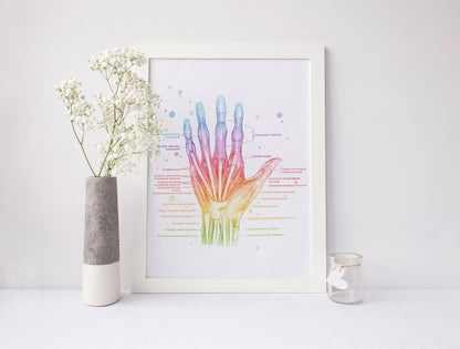 Hand Muscle Anatomy - Massage Therapist Gift - Physical Therapist Gifts - Med Student Gift - Medical Office Decor