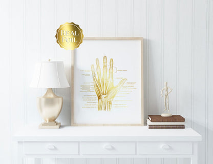 Physical Therapist Gift - Orthopedic Gift - Hand Anatomy - Human Anatomy - Anatomy Art - Bone Art - Medical Office Decor - Med Student Gift
