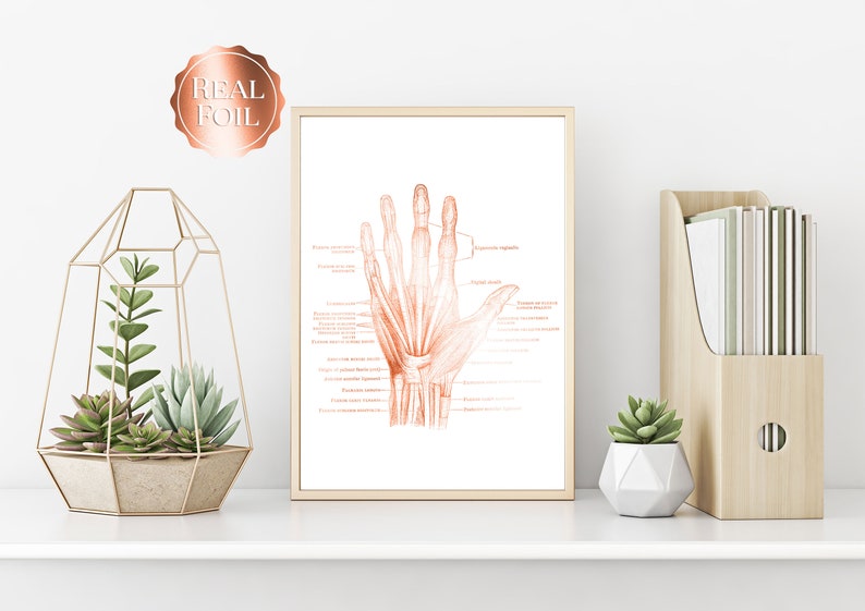 Physical Therapist Gift - Orthopedic Gift - Hand Anatomy - Human Anatomy - Anatomy Art - Bone Art - Medical Office Decor - Med Student Gift
