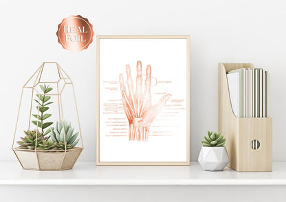 Physical Therapist Gift - Orthopedic Gift - Hand Anatomy - Human Anatomy - Anatomy Art - Bone Art - Medical Office Decor - Med Student Gift
