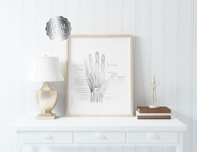 Physical Therapist Gift - Orthopedic Gift - Hand Anatomy - Human Anatomy - Anatomy Art - Bone Art - Medical Office Decor - Med Student Gift