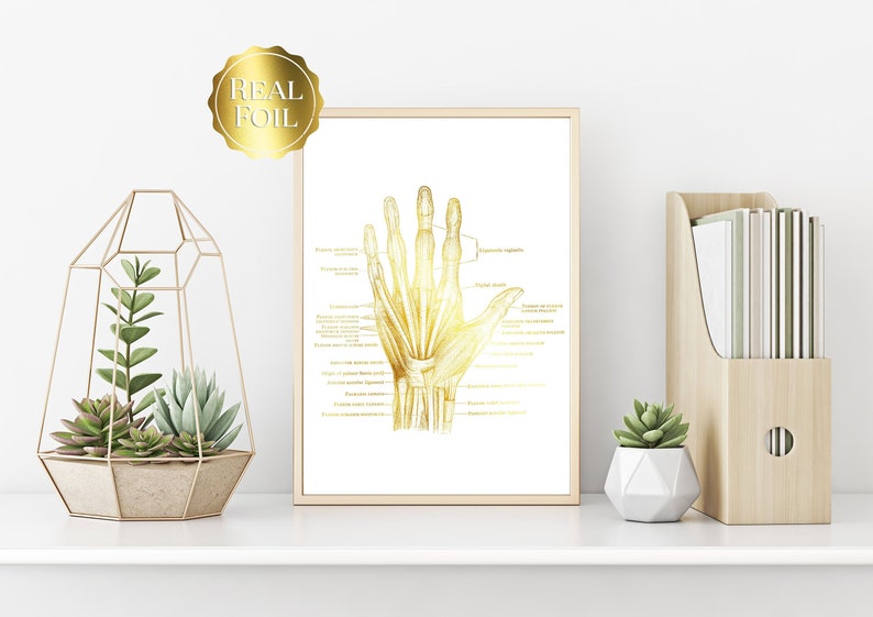 Physical Therapist Gift - Orthopedic Gift - Hand Anatomy - Human Anatomy - Anatomy Art - Bone Art - Medical Office Decor - Med Student Gift