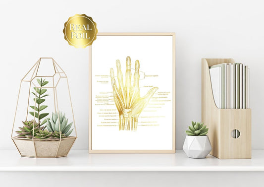 Physical Therapist Gift - Orthopedic Gift - Hand Anatomy - Human Anatomy - Anatomy Art - Bone Art - Medical Office Decor - Med Student Gift