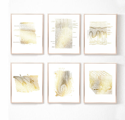 Esthetician Gift Set of 6 Prints - Esthetician Office Decor - Dermatology Art - Gold Foil Print - Epidermis Art