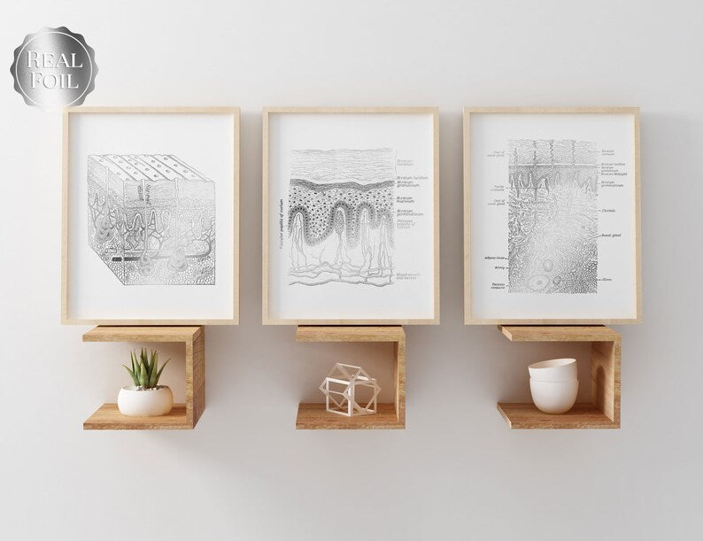 Esthetician Gift Set of 6 Prints - Esthetician Office Decor - Dermatology Art - Gold Foil Print - Epidermis Art