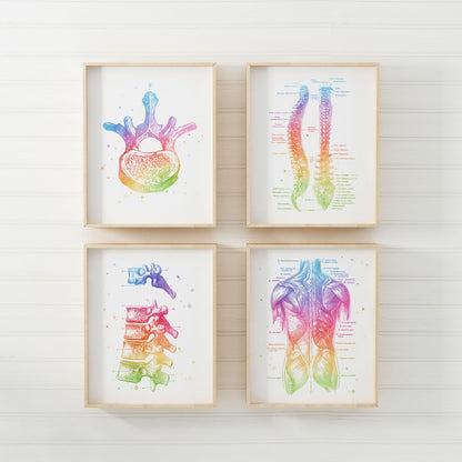 Chiropractor Gift - Chiropractic Art Set of 4 Prints - Watercolor Chiropractor Print - Osteopathy