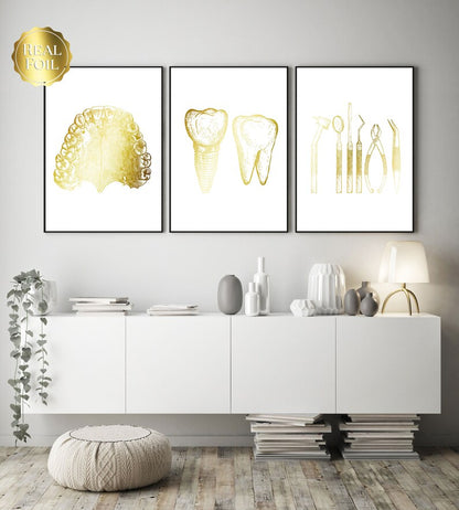 Dentist Gift - Orthodontist Gift - DDS, DMD gift - Dental Anatomy Art Print Set of 3 - Dental Art - Dental Office Decor