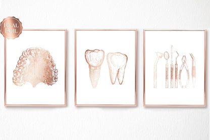 Dentist Gift - Orthodontist Gift - DDS, DMD gift - Dental Anatomy Art Print Set of 3 - Dental Art - Dental Office Decor